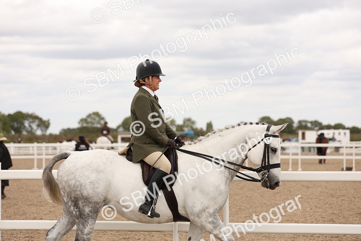 SBM_16463 - Class 212 - Ridden Hunter - Small