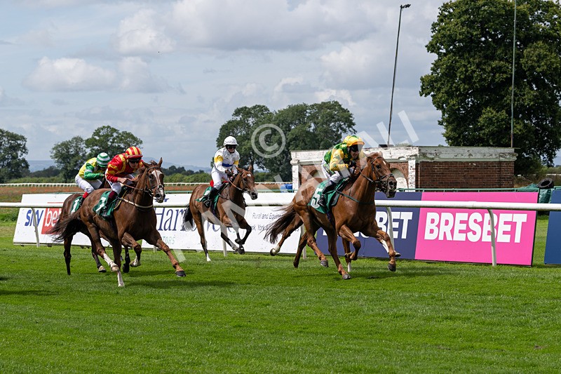 260724-Graham Lee Stable Staff Stakes-3394 - Graham Lee Stable Staff Stakes