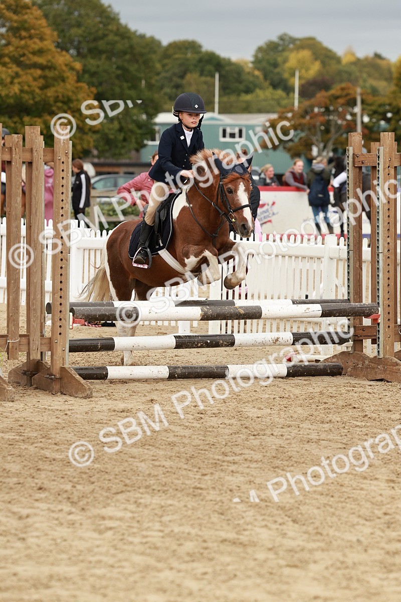 SBM_66978 - J13 - Junior Pony 60cm Championship