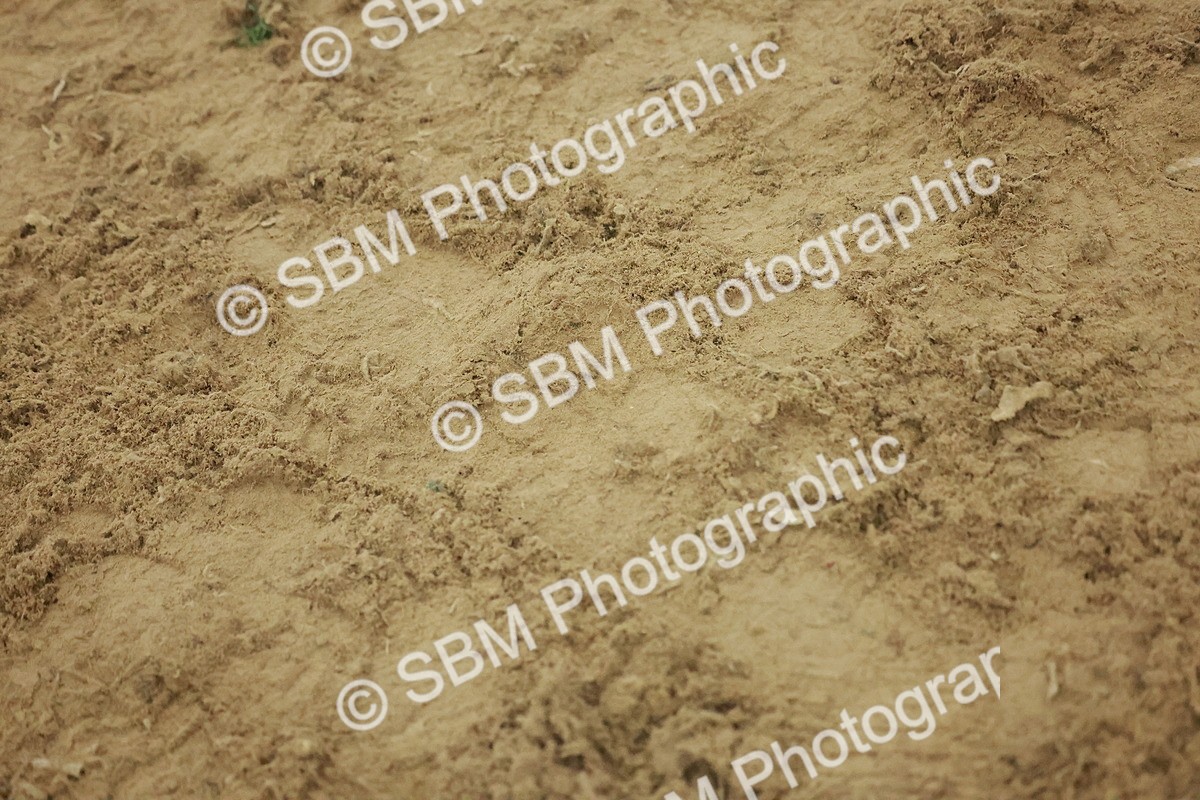 SBM_004985 - Class 6 - Chase Me Charlie