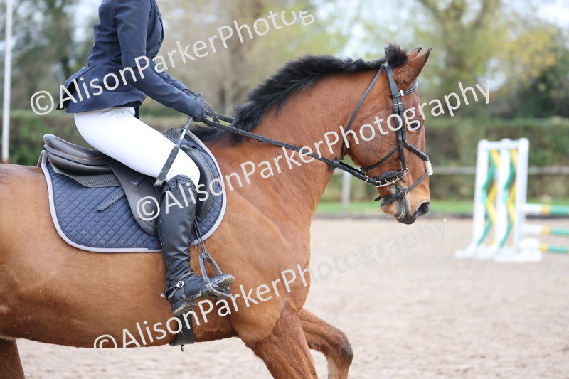 20251116-0345 - Class 3 - 80cm