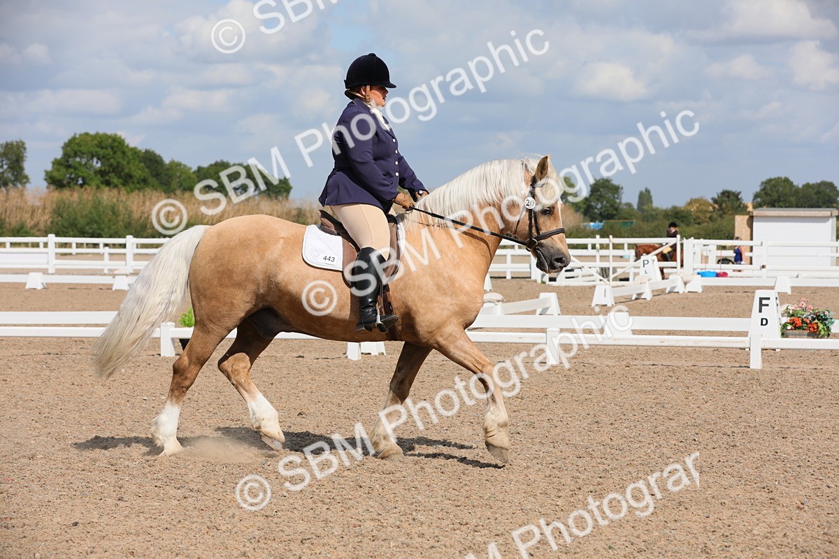 SBM_04016 - Class 31 Prelim 1