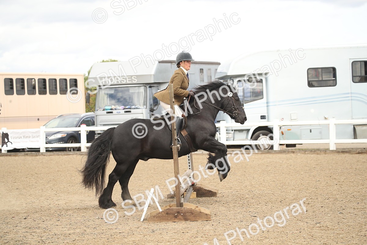 SBM_14544 - Class 505a - M&M Working Veteran - 50cm (15-19)