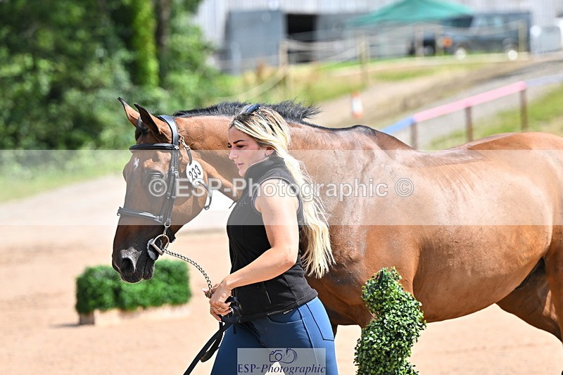 240718A-105240-01013 - Trot Up 11am to 12pm