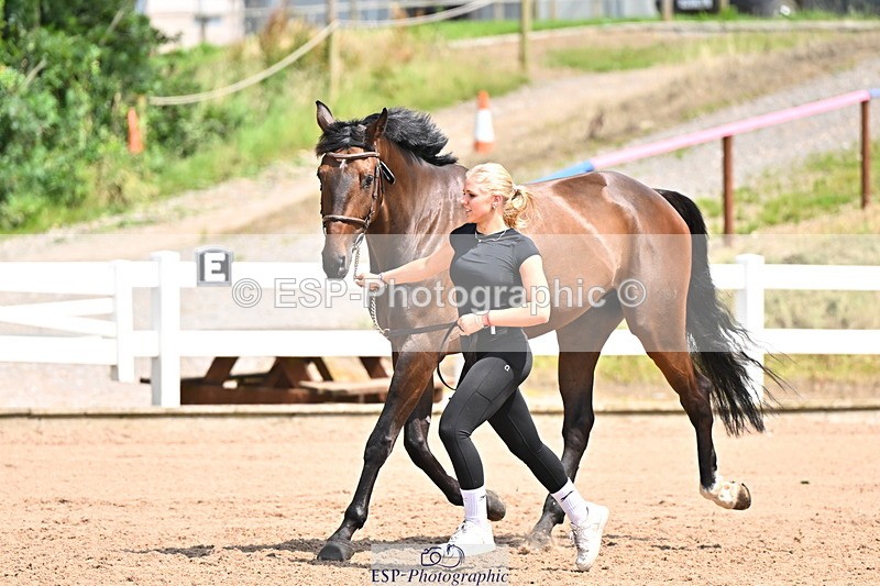 240718A-105302-01482 - Trot Up 12pm to 1pm