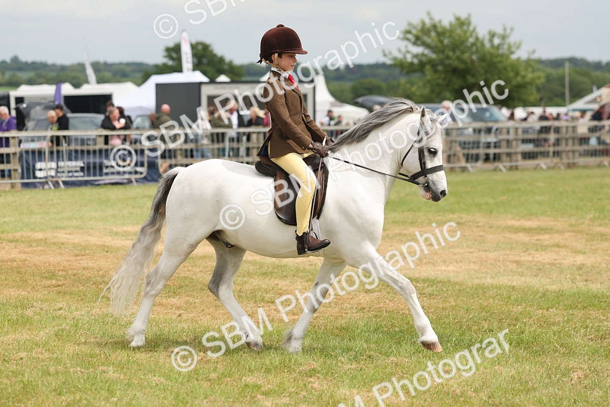 SBM_06877 - Class 74-75 - M&M Lead Rein and First Ridden Pony