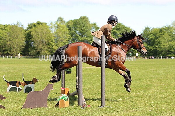 IMG_3733 - Working Hunter