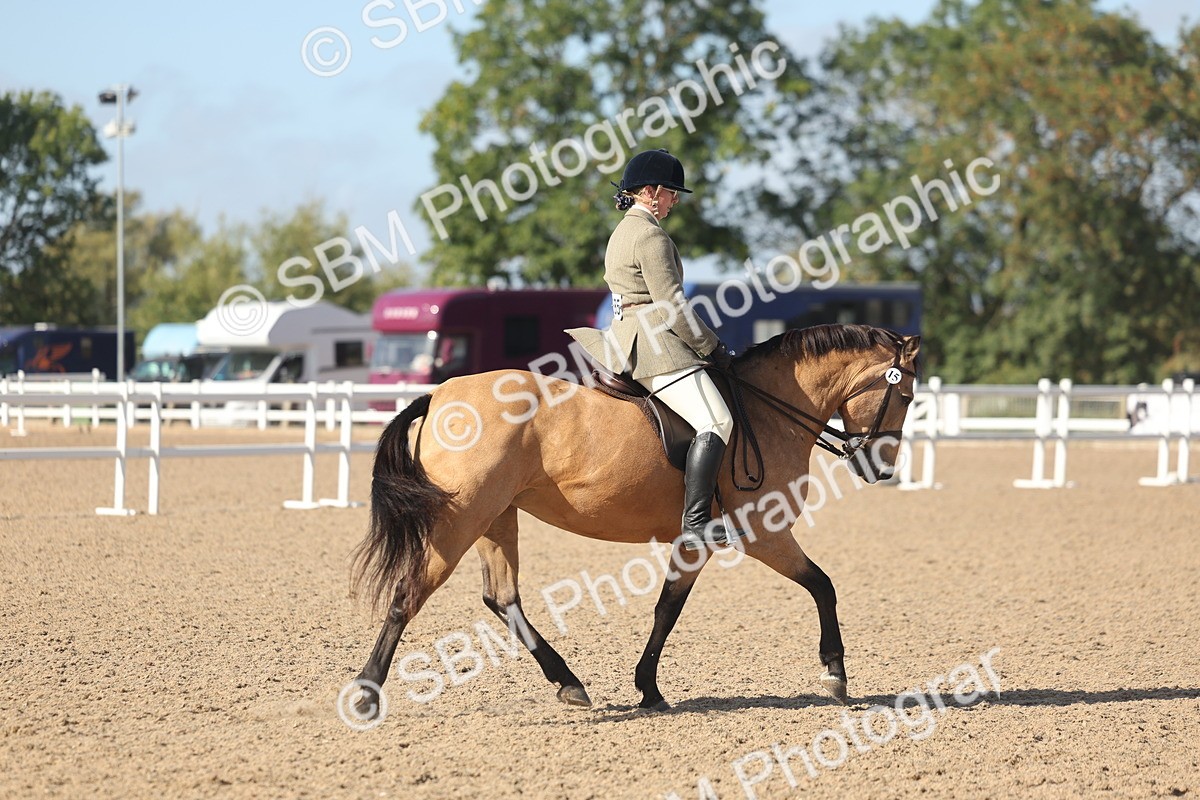 SBM_22620 - Class 804 - Ridden Veteran Pony