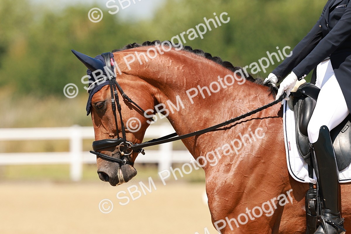 SBM_022500 - Class 22 - FEI PSG