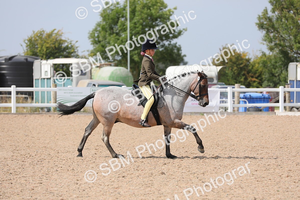 SBM_15590 - Class 311 Ridden Show Pony/ Show Hunter Pony