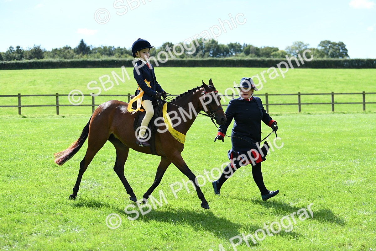 SBM_41274 - S19 - Lead Rein Show & Show Hunter Pony