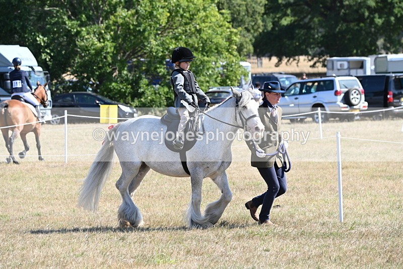 WJ6_7807 - Class 36 Lead Rein