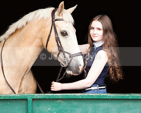 188410x8 - Equine Gallery Portfolio