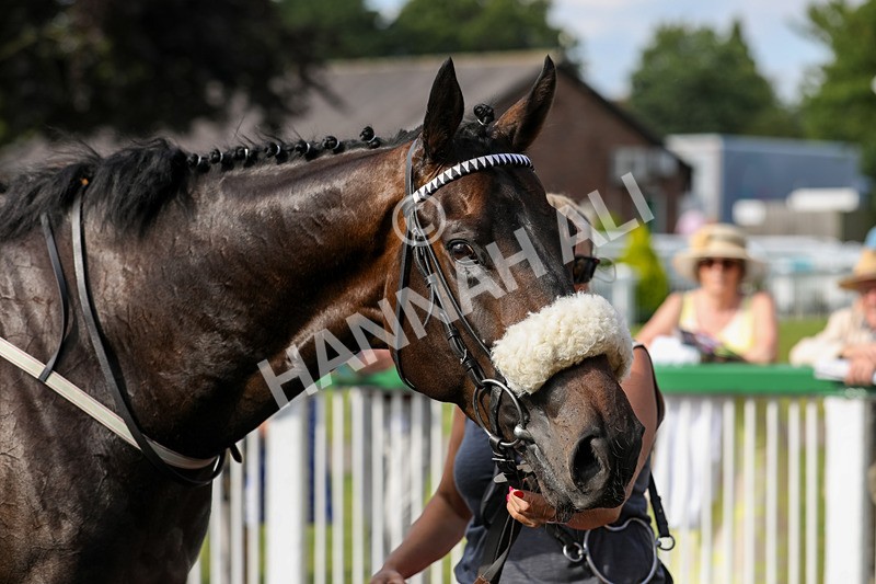 240624-Race 8-Le Beau Garcon-0673 - Race 8