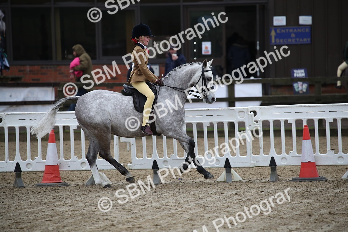 SBM_004673 - Class 5-9 - NPS In Hand-Show Hunter-Intermediate Ridden Inc Ridden Championship