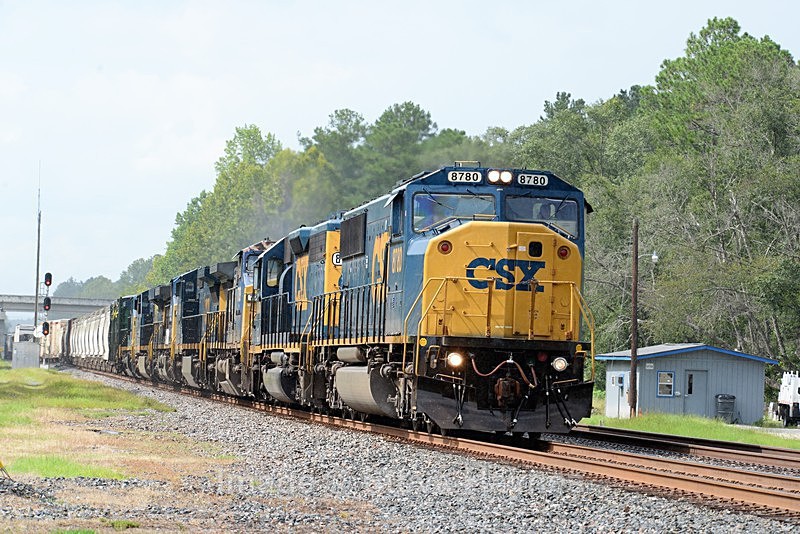 8th Aug 2017 - Folkston Funnel, GA