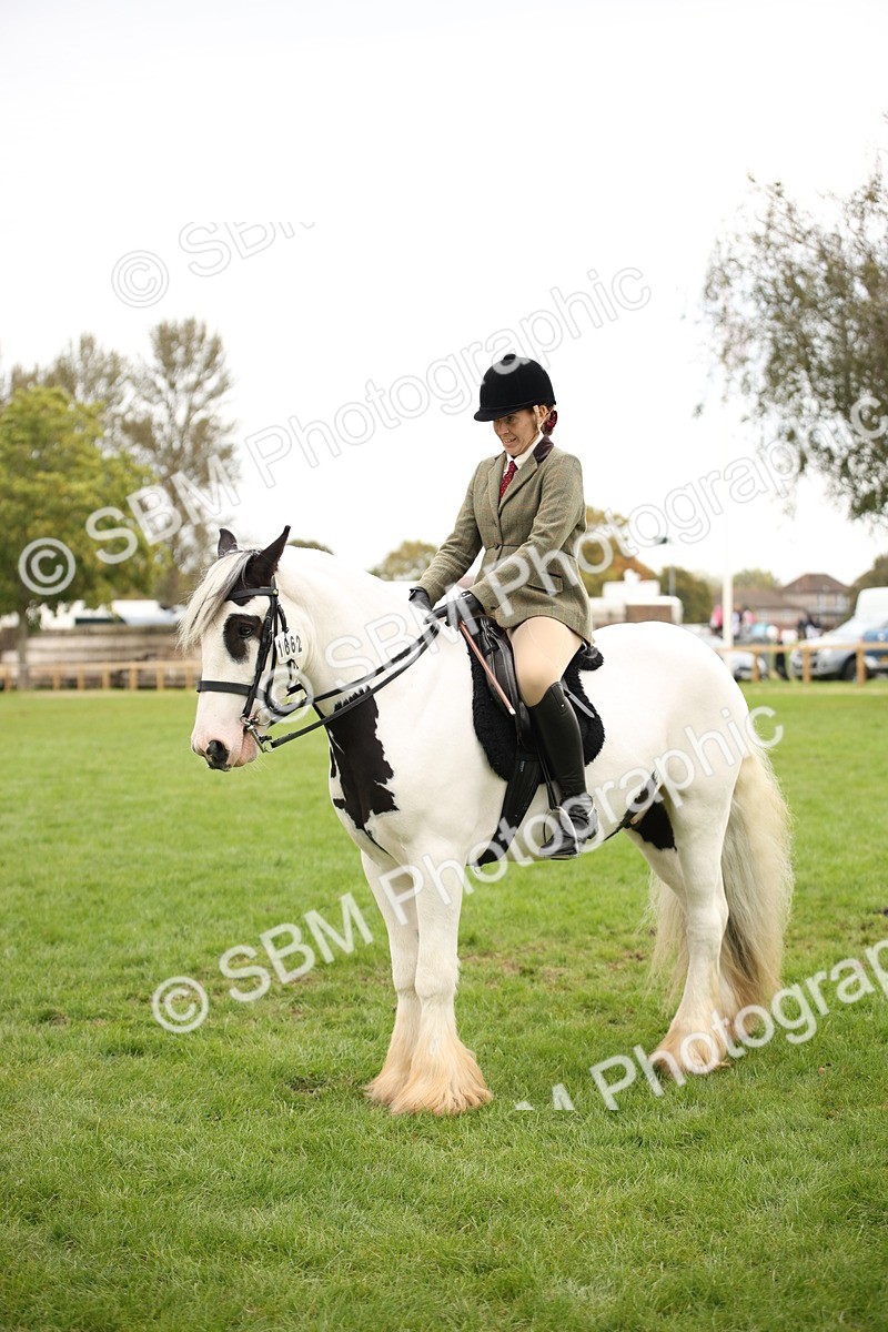 SBM_73543 - S68 - Traditional Cob Ridden
