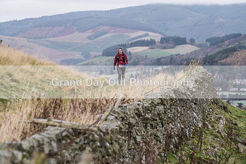 Tweed Valley-391 - High Terrain Events Tweed Valley 65 & 50K Ultra Trail Races Sunday 17th November 2024