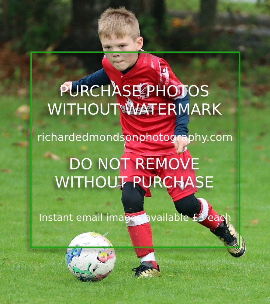 IMG_7066 - Ibis Under 8's (19/10/24)