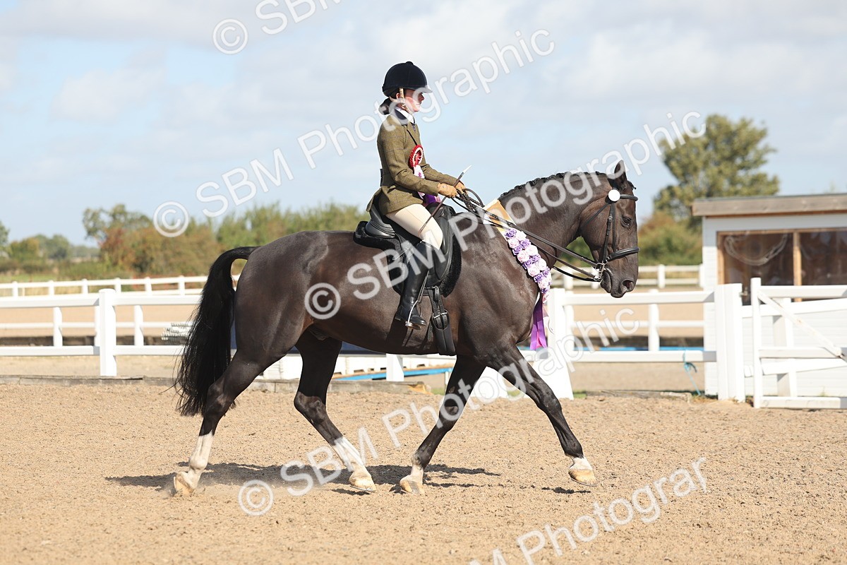 SBM_22701 - Class 805 - Ridden Veteran Horse