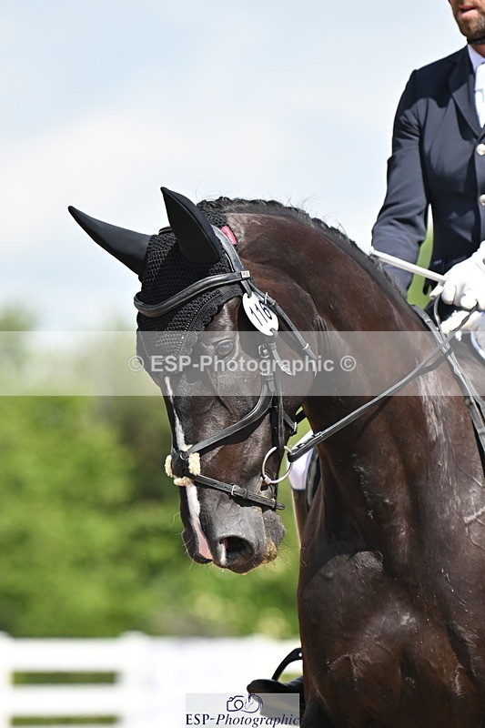 240621A-110007-01492 - Cls 4 BD Novice 22