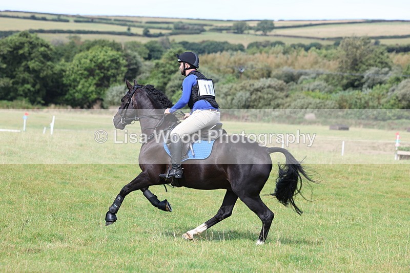 3E7A6515 - Class 1: Trebudannon Open: Pheasant Feeder