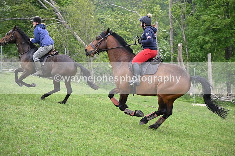 WJ6_2534 - A Camera