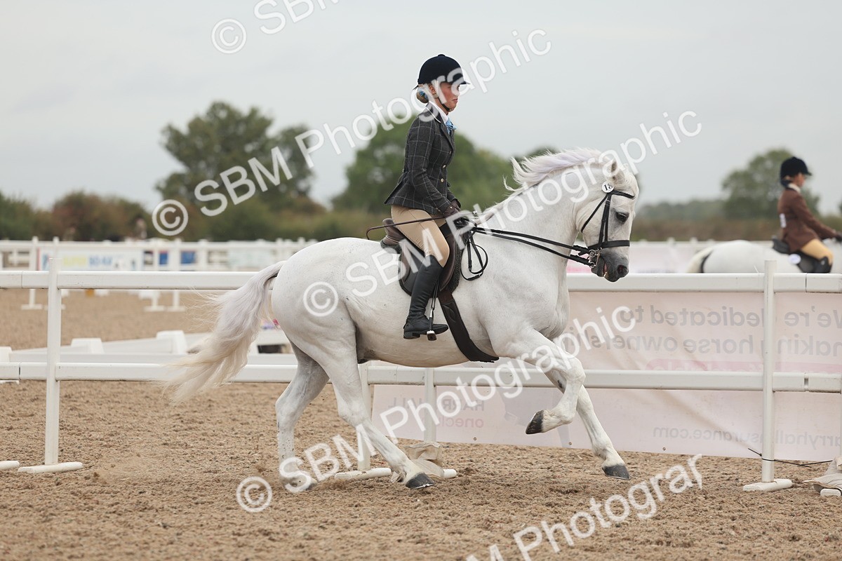 SBM_01893 - Class 14 - Ridden M&M Wildcard