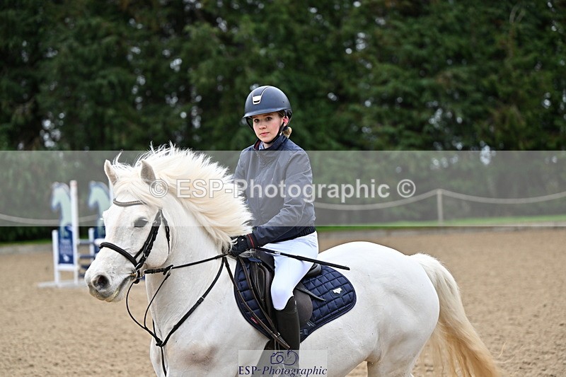 250201A-093425-00012 - Cls 01 Local Horse 90cm