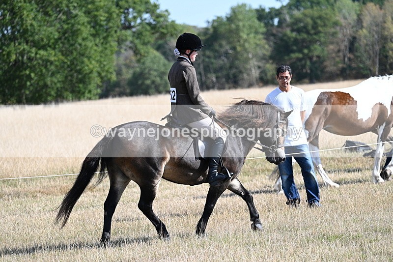 WJ7_2917 - Class 8 Ridden Tack & Turnout