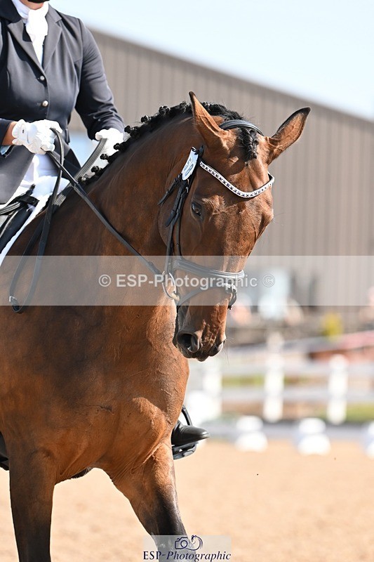 250816-103350-03422 - 058-Abigail.RousellMister.Cadbury