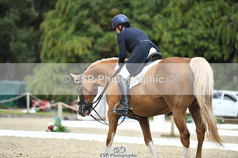 230812-144512-04793 - Cls 7 FEI PSG Bronze