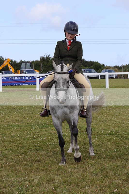 1X9A4115 - Class 32: Show Hunter Pony 153cm and under