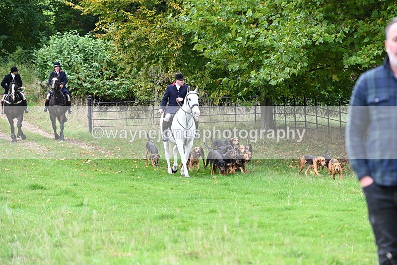 WJ6_0052 - Camera 2 Meet