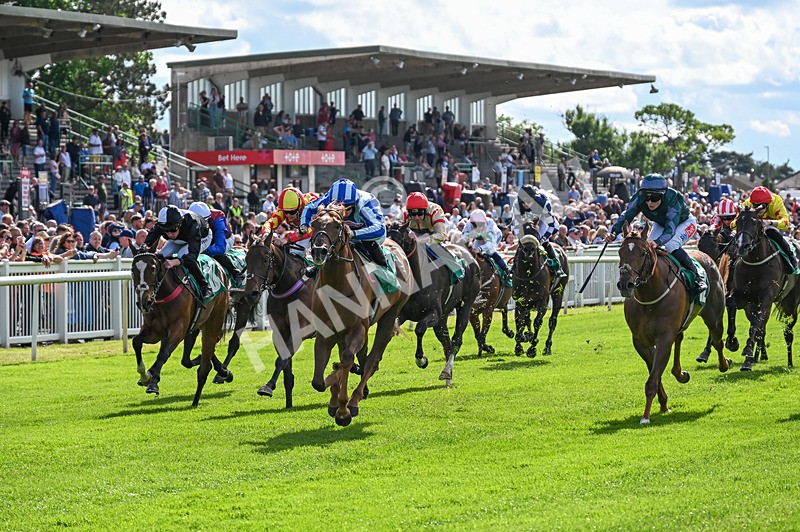 310526-Race 2-Dazzling Haze-8399 - Race 2 16.15pm Flutter Proud To Support Young Lives Vs Cancer Handicap