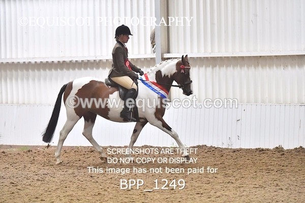 BPP_1249 - RING 2