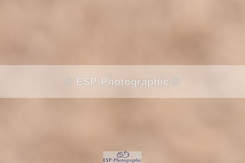 231217A-120627-00908 - Unaffiliated Classes