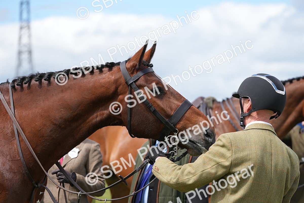 SBM_15028 - Class 100-102 - RIHS Working Hunter