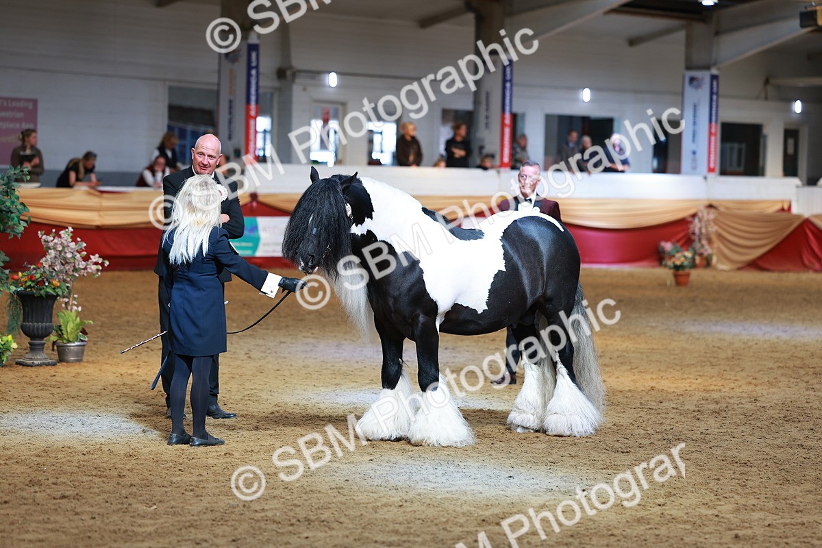 SBM_18519 - Class 903 - Sup Final - IH Pre Vet