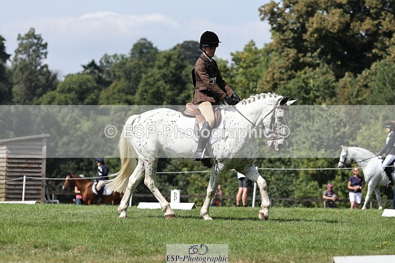 250823A-131841-31278 - Arena D