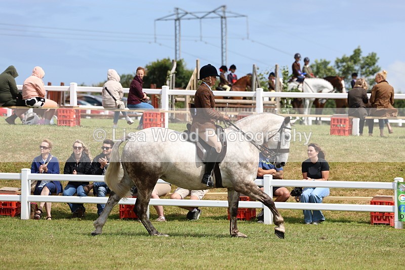 3E7A0437 - Class 6: Rising Star Maxi Cobs