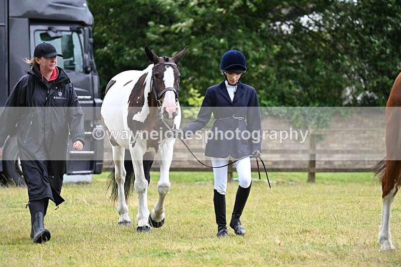 WJ7_6060 - Class 4a Prettiest Mare over 14hh