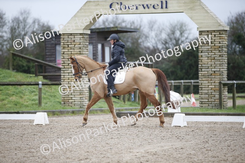 20260127-0176 - Class 15 - BD Prelim 2