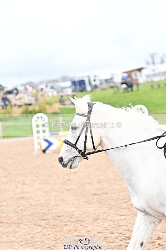 250414-105608-00320 - 80cm Round 1