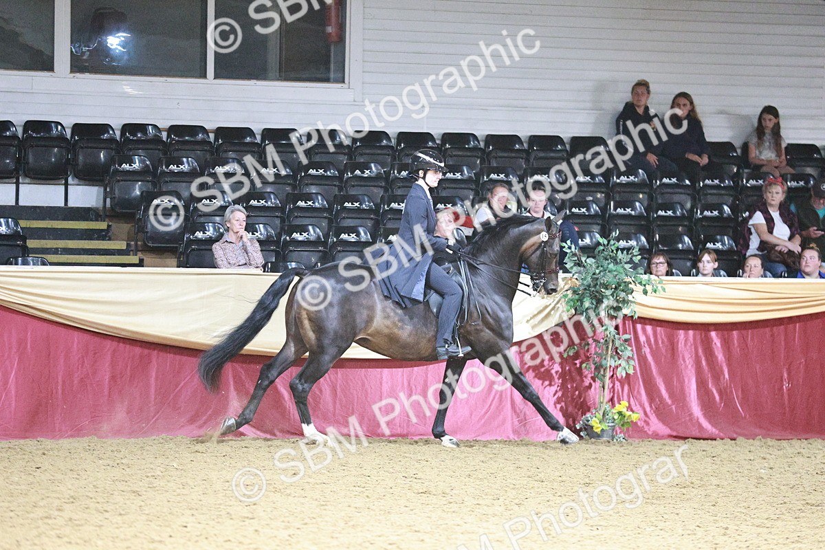 SBM_09076 - Class 12R - Regional Ridden Pre-Vet