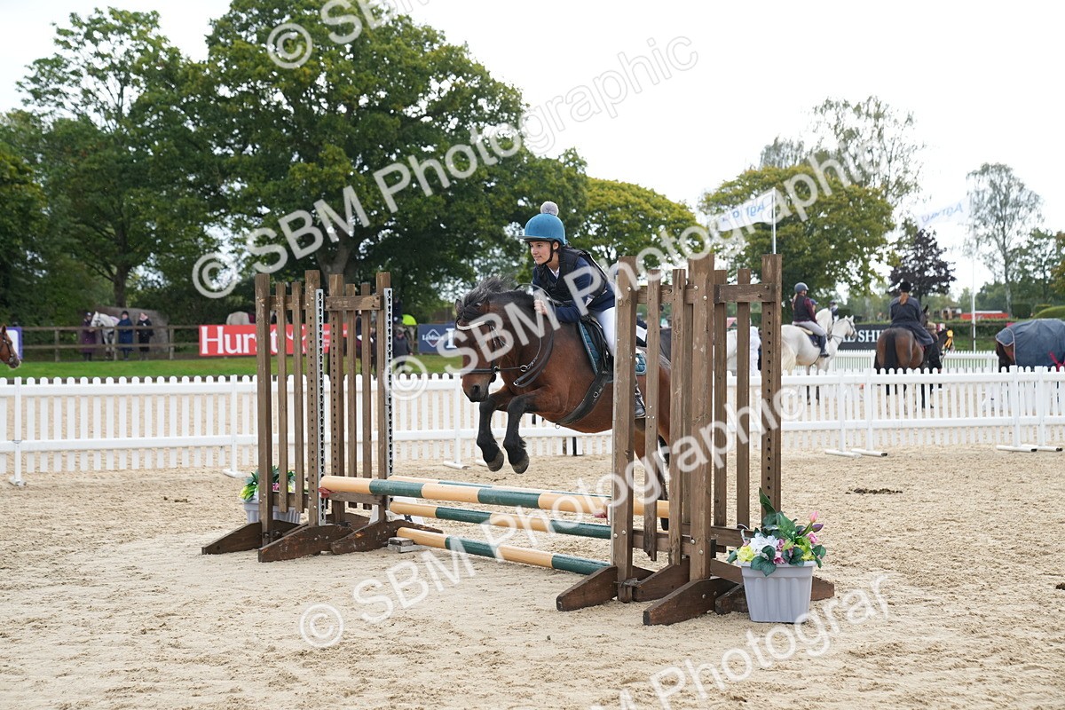 SBM_01937 - J54 - Clear Round 50cm