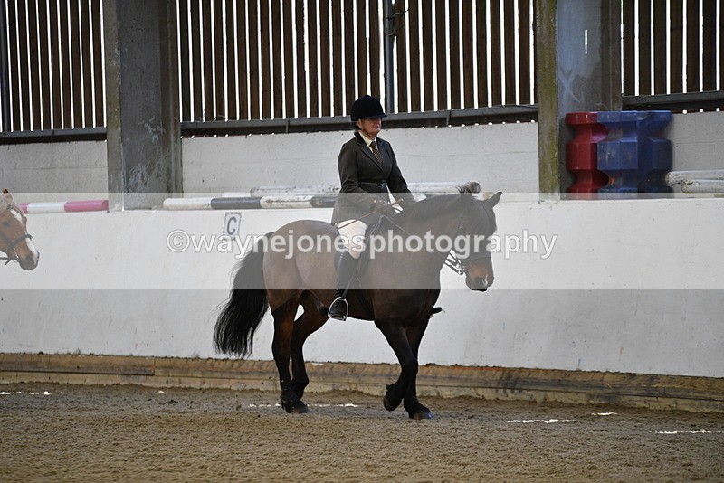 WJ5_5919 - Class 9 Ridden Veteran