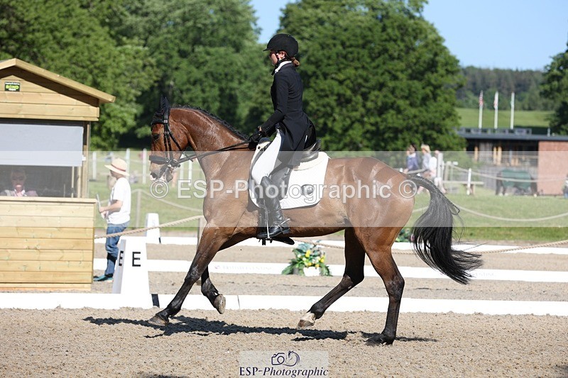 230526-091113-05011 - 352-TEQUILA_SUNRISE-Pippa_Taylor-WEDTrotUp+DR
