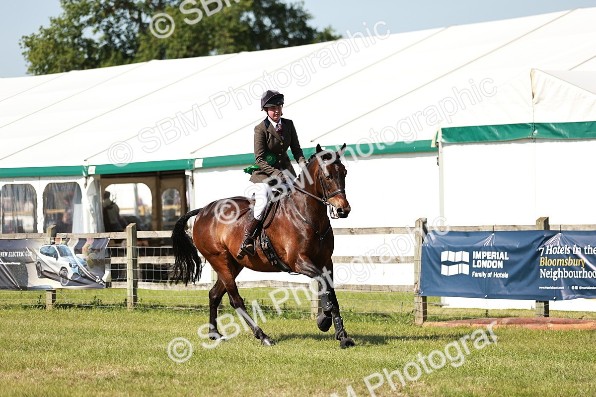 SBM_18496 - Class 112-113 - BSPS LIHS Working Sports Pony