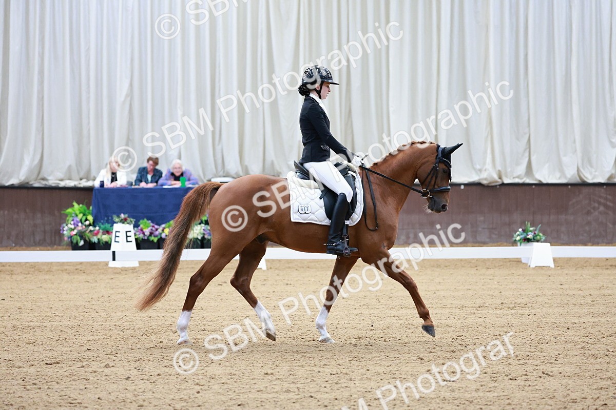 SBM_016766 - Class15 - FEI Pony